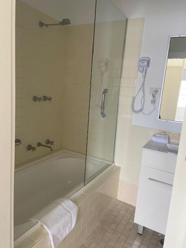 巴瑟斯特Knickerbocker Hotel的带淋浴的浴室和玻璃门