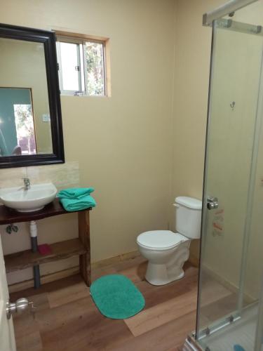 普孔El roble cabañas hualle的一间带卫生间、水槽和镜子的浴室