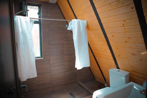 迪利然Triangle House的浴室设有卫生间和带白色毛巾的淋浴。