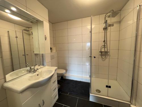 汉堡"Live Good, Work Good"- Central Apartment by GG Rental Hamburg的一间带水槽、淋浴和卫生间的浴室