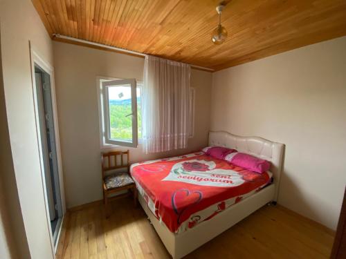 阿克恰阿巴德Hıdırnebimountainhome的一间卧室配有一张带红色毯子的床和窗户。