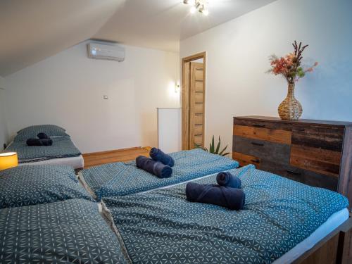 什图罗沃Duna Apartments Štúrovo的一间卧室配有两张带蓝色枕头的床。