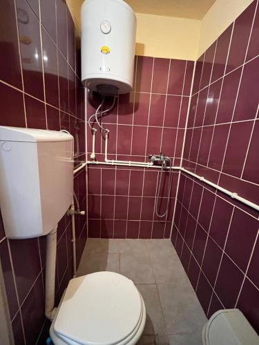 斯塔多伊兰Villa Utopia的浴室设有白色卫生间和紫色瓷砖