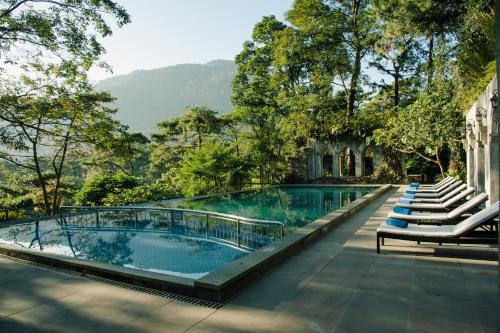 河内Melia Ba Vi Mountain Retreat的一个带椅子和树木的度假村游泳池