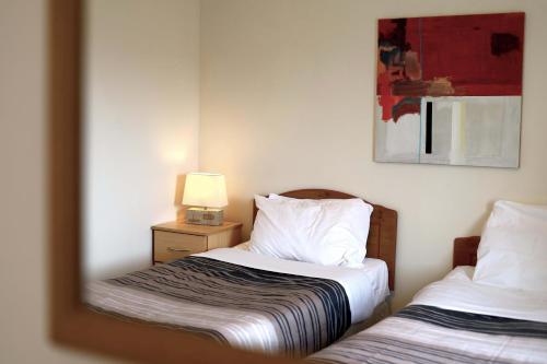 克洛纳基尔蒂Long Quay Apartments, Clonakilty的一间卧室配有两张床和镜子