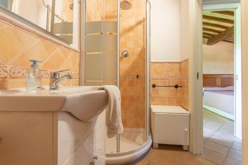 里奥托尔托Appartamento Fetovaia的一间带水槽和淋浴的浴室