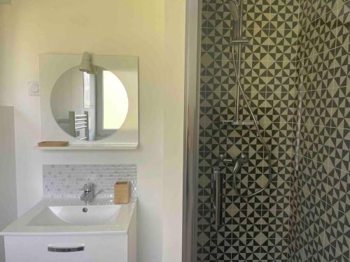 杜埃La maison du jardin的浴室配有盥洗盆和带镜子的淋浴