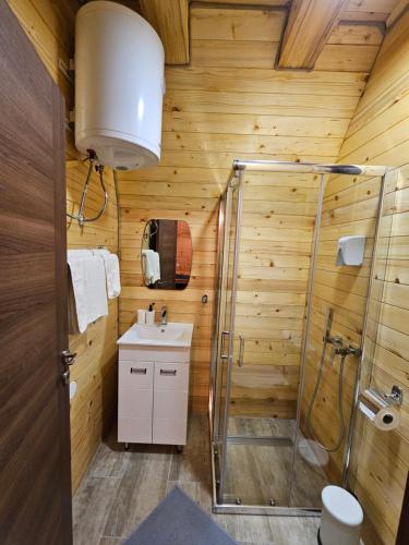 米特洛瓦克Oaza Jela的带淋浴和盥洗盆的浴室
