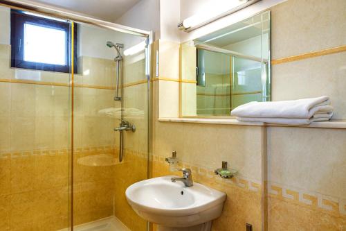 皮特什蒂维多利亚酒店的一间带水槽、淋浴和镜子的浴室