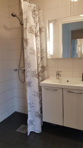 凯乌鲁Hotelli Viikinhovi的浴室配有淋浴帘和盥洗盆。