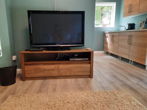 莱特肯尼Studio的木质娱乐中心设有带平面电视的客厅。