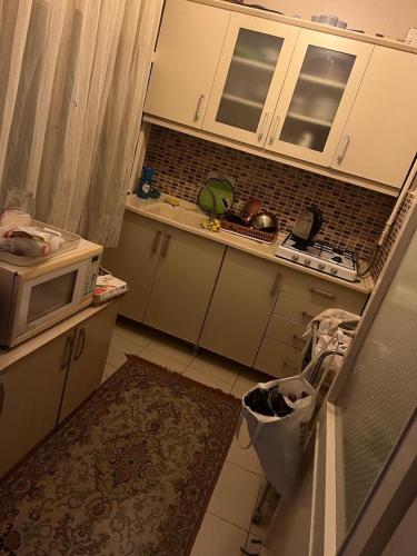 伊斯坦布尔Coolest Appartement 2+1 Furnished的带微波炉和水槽的小厨房