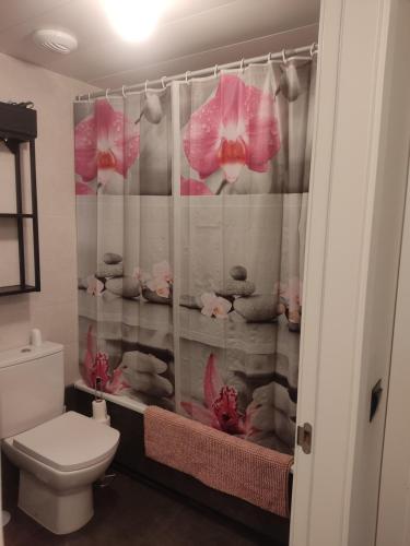 阿尔卡拉德荷那利斯WANDA Patrimonio parking gratis LICENCIA TURISTICA VT-13975的浴室设有卫生间和装饰有粉红色花卉的浴帘。