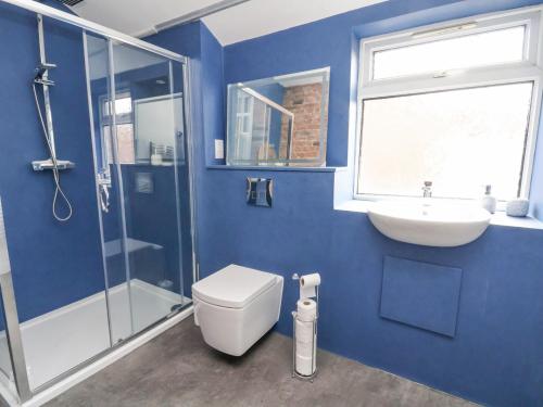 切斯特Oneofour的蓝色的浴室设有卫生间和水槽