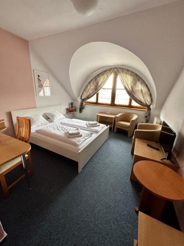 特尔乔夫Garni Hotel Gavurky的酒店客房设有一张床和一个大窗户