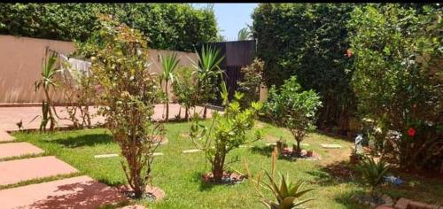 卡萨布兰卡Lhaja home的草丛中种有树木和植物的花园