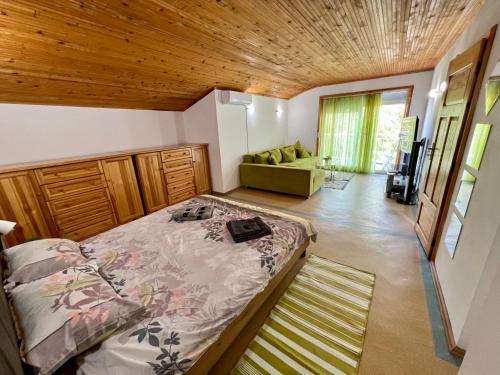 阿尔贝纳Villa MAXIMILIYAN的一间卧室配有一张床和一张绿色沙发