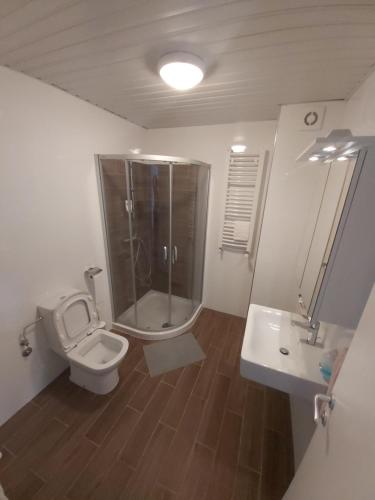 雅戈丁那Centar Crnjanski的带淋浴、卫生间和盥洗盆的浴室