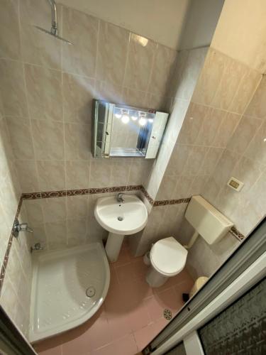 都拉斯~Villa Gloria~的一间带卫生间和水槽的小浴室
