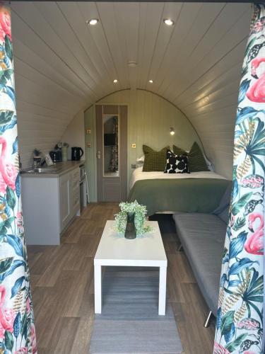 BallymaganThe Garden Pod with Private Hot Tub的客房设有床、沙发和桌子。
