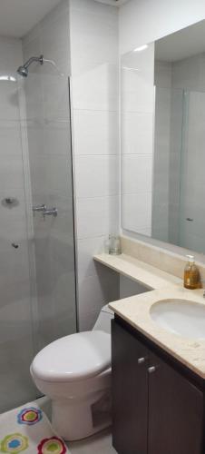 麦德林Habitación en apartamento familiar的一间带卫生间、水槽和镜子的浴室