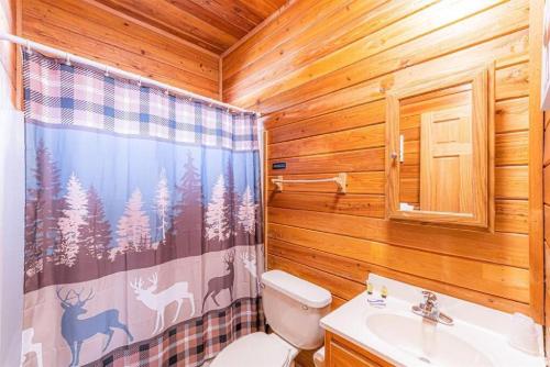 佩森Cabin#2 Elk Hallow - Pet Friendly - Sleeps 6 - Playground & Game Room的一间带卫生间和淋浴帘的浴室