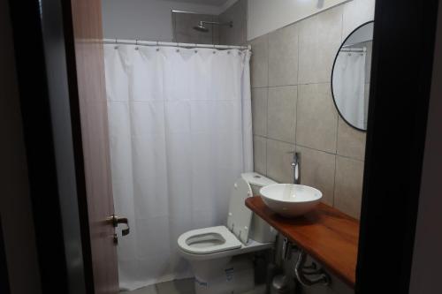 圣罗莎Pueyrredon 440的一间带卫生间、水槽和镜子的浴室