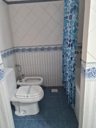 米娜克拉韦罗Cabanas Las Pencas, HOSTERIA的一间带卫生间和淋浴帘的浴室
