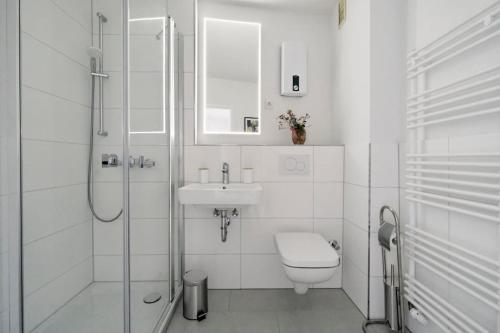 弗伦斯堡Schiffbrücke的浴室配有卫生间、盥洗盆和淋浴。