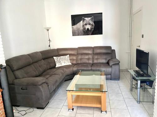 布鲁塞尔斯提恩农公寓的客厅配有棕色的沙发和狗的照片