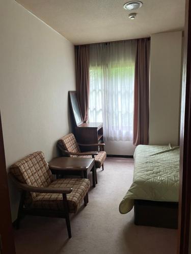 汤泽町NAEBA KOGEN HOTEL的一间卧室和一张床铺和一把椅子。