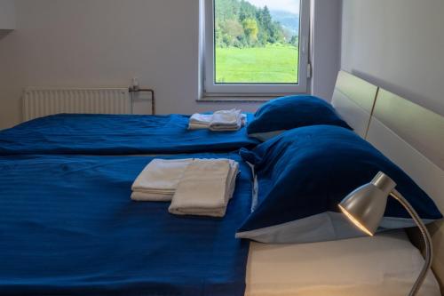 MutaHiša Izabela的一张蓝色的床,配有两条毛巾和窗户