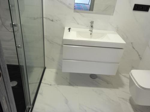 桑坦德Casa San Miguel 93 santander的白色的浴室设有水槽和淋浴。