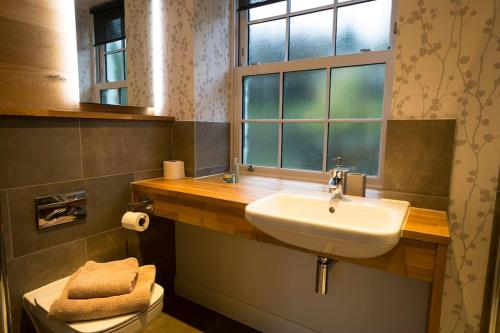 查普尔斯提莱Langdale Cottage - 5 bedrooms and 5 bathrooms的一间带水槽、窗户和卫生间的浴室