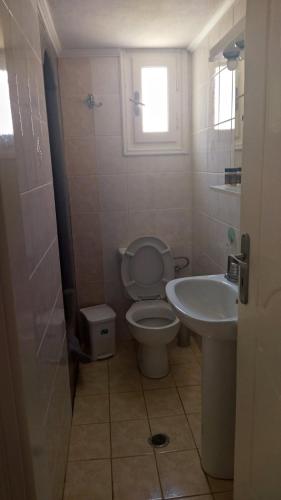基莫洛斯岛Elzahed apartments bonaccia的一间带卫生间和水槽的浴室