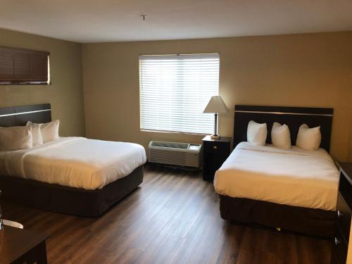杰克逊维尔MainStay Suites Jacksonville near Camp Lejeune的酒店客房设有两张床和窗户。