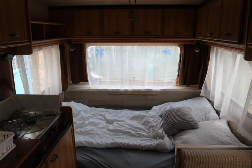 GranicharKemping pod figą的一张小床,位于带窗户的房间中间