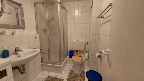 布雷格Boddenblick Breege的带淋浴、卫生间和盥洗盆的浴室