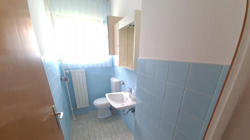 ŽirovnicaApartment Ajdna的蓝色的浴室设有水槽和卫生间