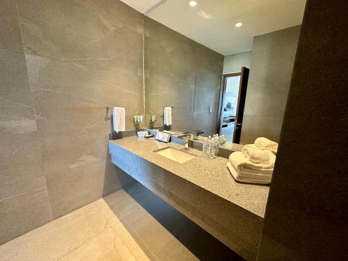 坦皮科Soleare Hotel Boutique的一间带水槽和镜子的浴室