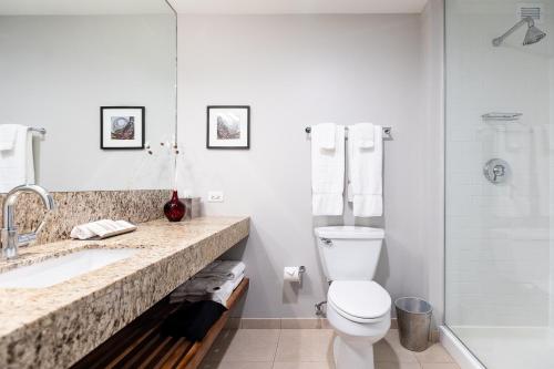 尚佩恩I Hotel and Illinois Conference Center - Champaign的浴室配有卫生间、盥洗盆和淋浴。