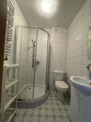 科沃布热格Na Radomskiej的带淋浴、卫生间和盥洗盆的浴室