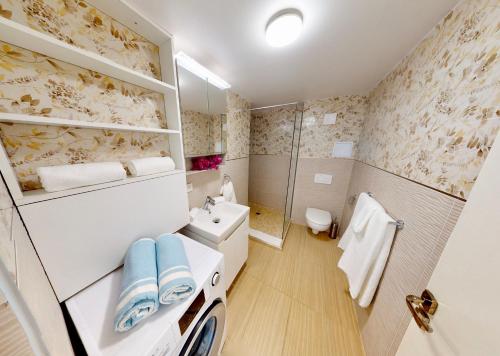 Anse Marcel LES LAURIERS - PISCINE SUR LE TOIT - ANSE MARCEL的浴室配有卫生间、盥洗盆和淋浴。