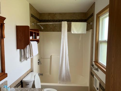 威斯康星戴尔All Star Inn & Suites的带淋浴、卫生间和盥洗盆的浴室