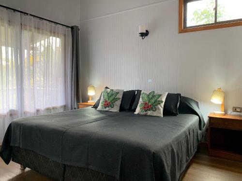 安加罗阿Cabañas Raupa的一间卧室配有带两个枕头的床和窗户