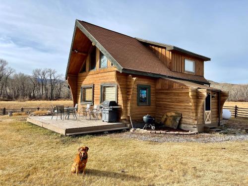 MelroseSportsman Lodge Melrose MT的坐在房子前面的棕色狗