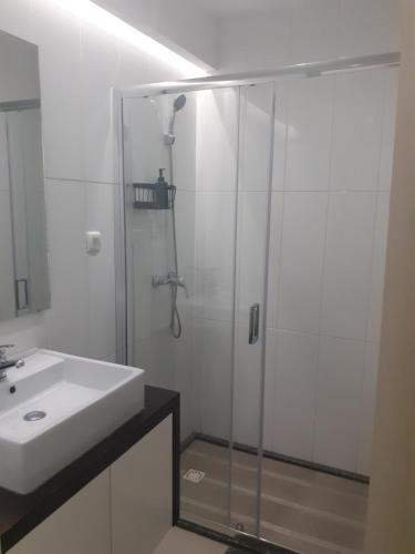 普拉亚Apto T1 Comfort的一间带玻璃淋浴和水槽的浴室