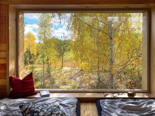 BrzozieLunette Lodge am See mit Sauna für 10 Gäste的享有森林景致的窗户