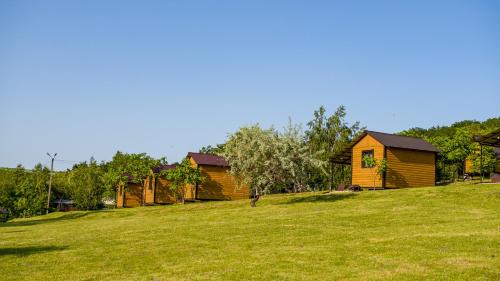 GrushevtsyКаньон的草场上的一排小木屋