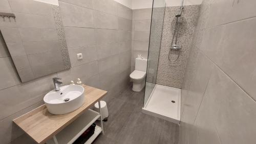 里斯本Memoria 49的一间带水槽、淋浴和卫生间的浴室
